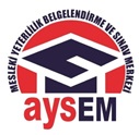 Mesleki Yeterlilik Belegelendirme Kuruluşu